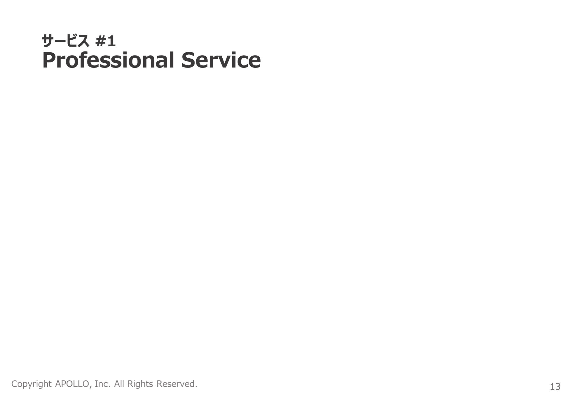 表紙：サービス1 Professional Service