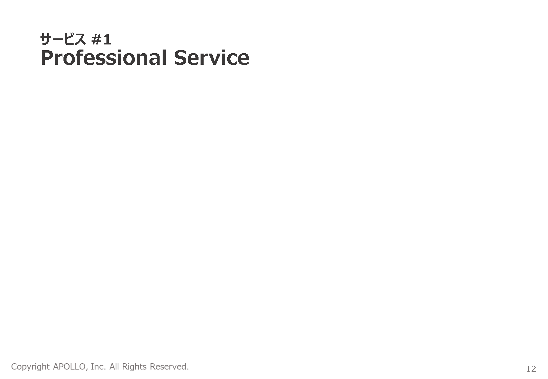 表紙：サービス1 Professional Service